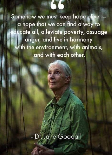 True wisdom Live in Harmony